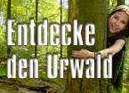 Ja zum Nationalpark Steigerwald